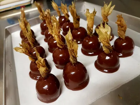 Monoporzioni glassate al cioccolato con alchechengi